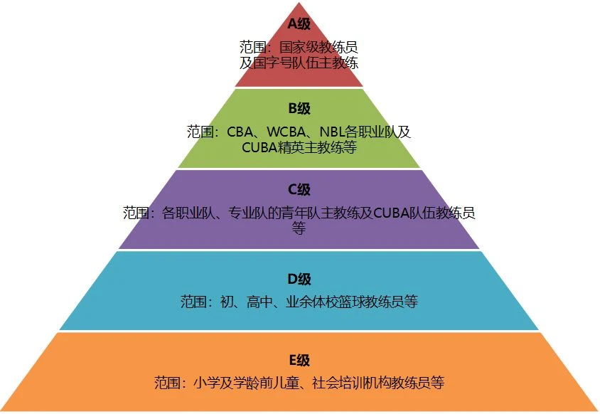 如何根据体型设计高效的篮球训练方案_1